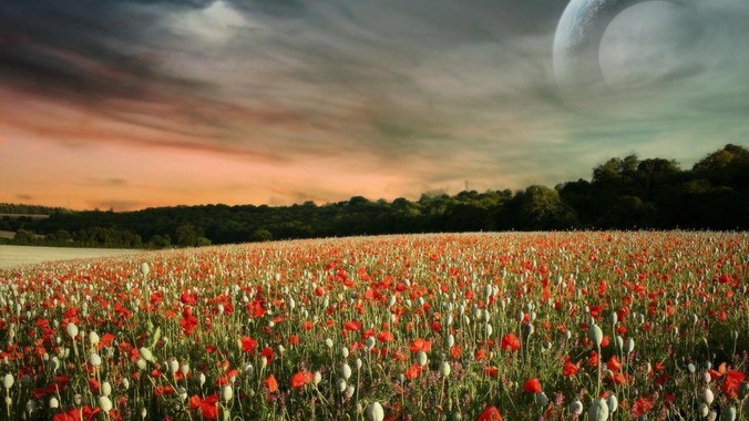 Vue性能优于React,那为什么还不用Vue?